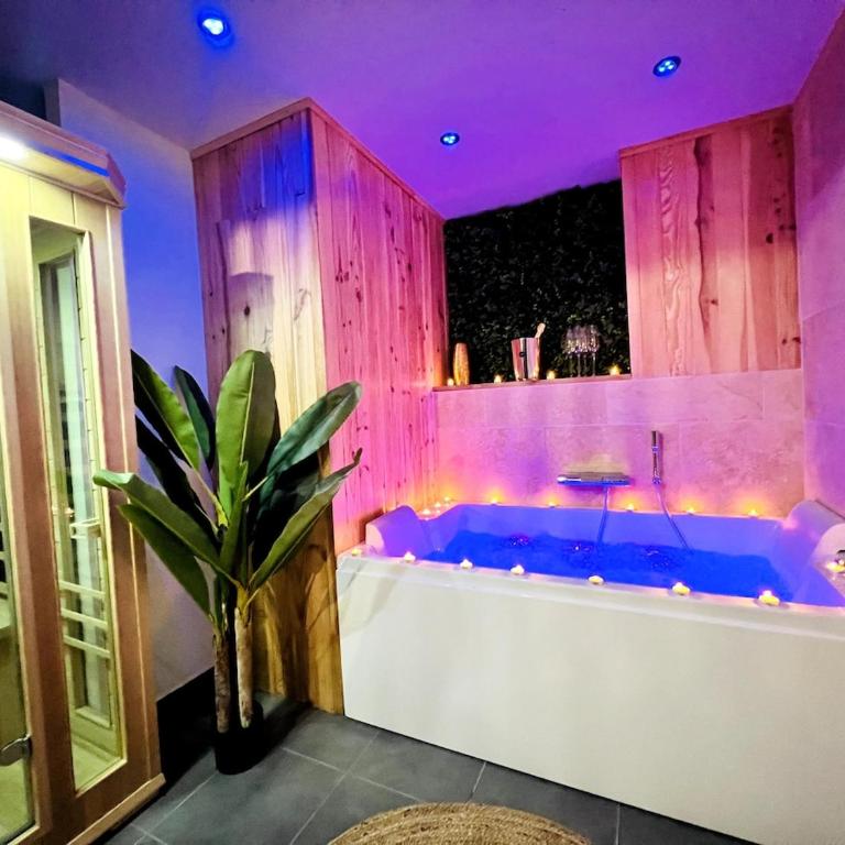 7 Inkermann - Love Room Spa & Sauna - Charpennes - One-Bedroom Apartment - 14