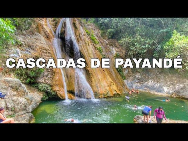 Apartamento en Ibagué Campestre - Apartamento de 2 dormitorios - 26