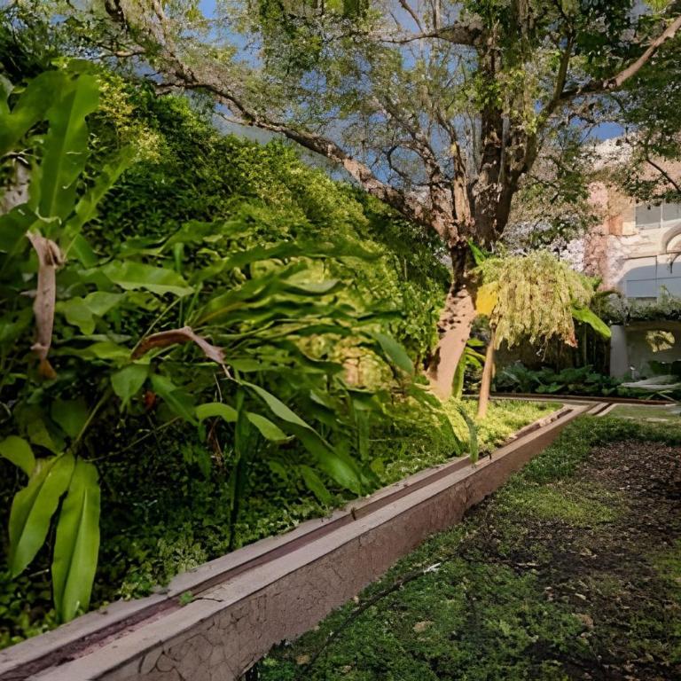 Colonial Elegance in Historic Center /Pool - One-Bedroom Premium Apartment - 26