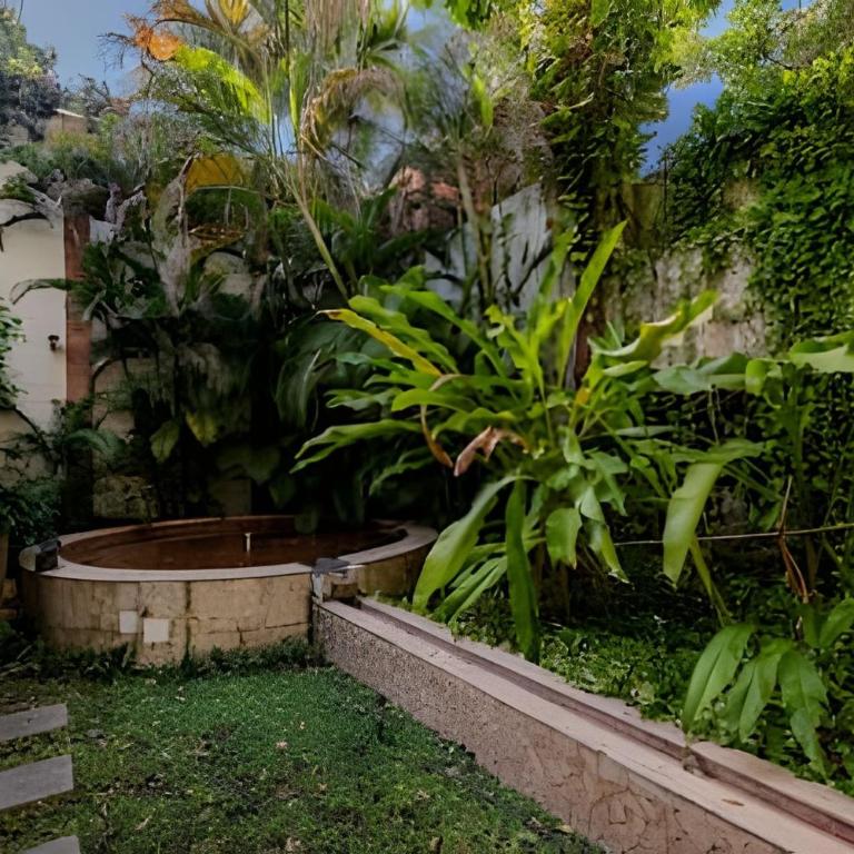 Colonial Elegance in Historic Center /Pool - One-Bedroom Premium Apartment - 27