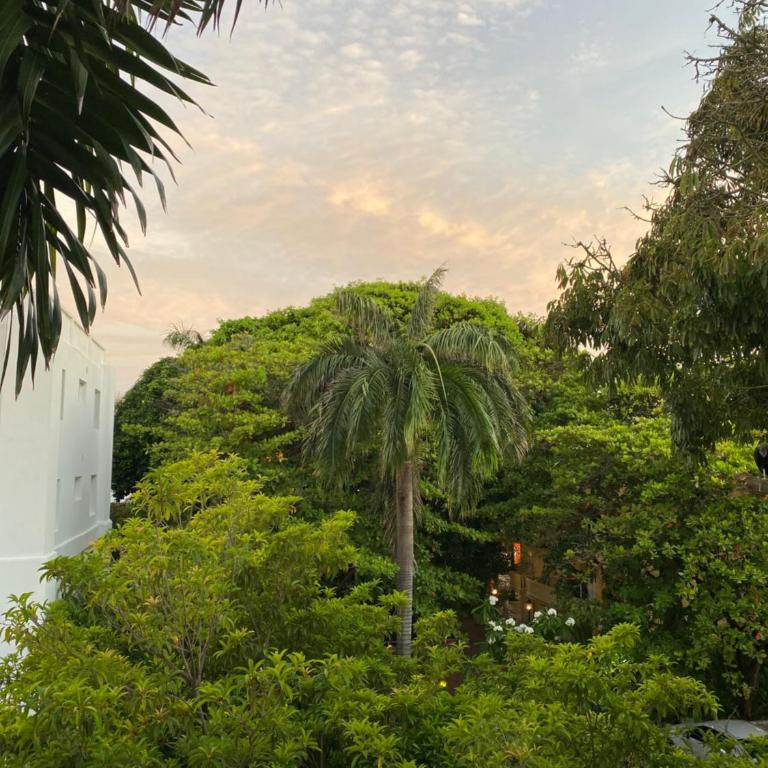 Apartamento En El Centro Histórico De Cartagena, Turistico y colonial - Two-Bedroom Apartment - 4