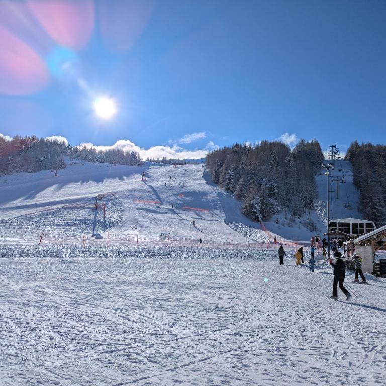 les Rochers Blancs 1 aux pieds des pistes LA JOUE DU LOUP - One-Bedroom Apartment - 4