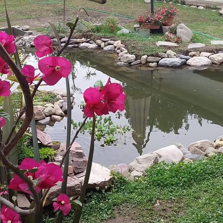 Quinta Alta Hosteria - Habitación Familiar - 19