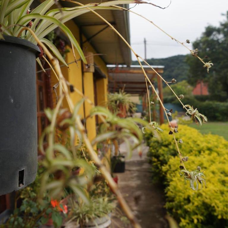 Quinta Alta Hosteria - Habitación Familiar - 12