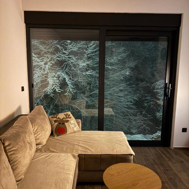 Rajski Kutak Kopaonik - One-Bedroom Apartment - 6