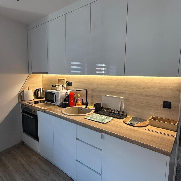 APARTMAN DBR -Dobrinja Sarajevo-FREE GARAGE - Apartman sa 1 Spavaćom Sobom - 24