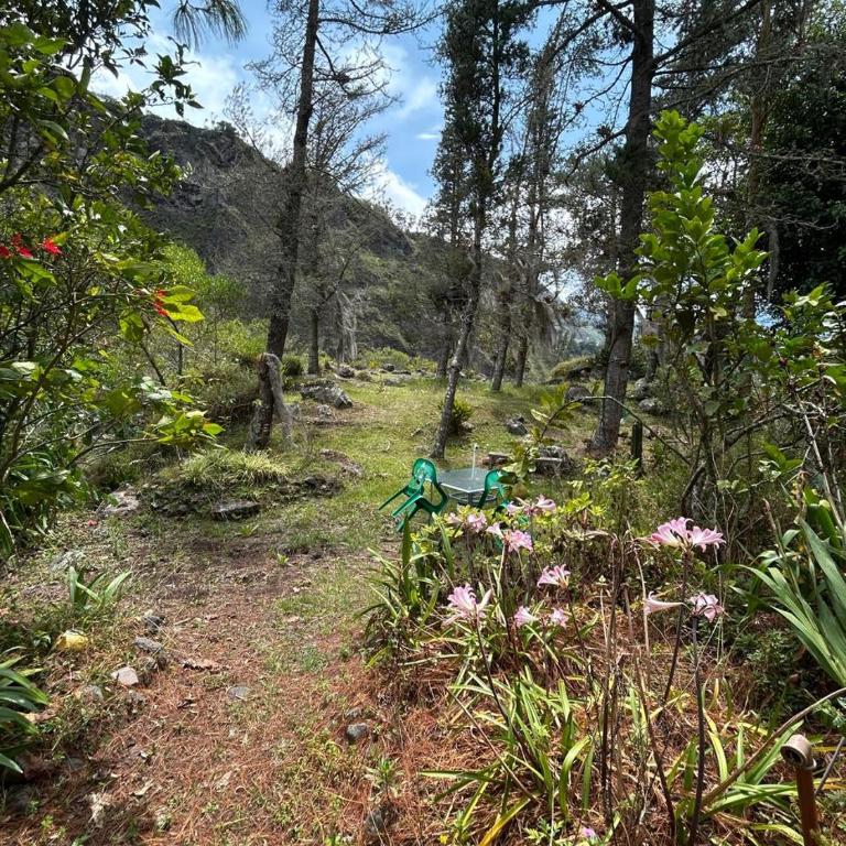 The Lookout Hideaway Cabin - Four-Bedroom Vacation Home - 2