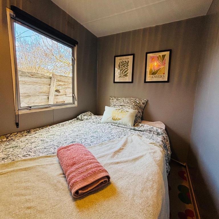 Le Pré Bohem Spa en Camargue et déconnexion - Bungalow Deluxe - Vue sur Jardin - 4