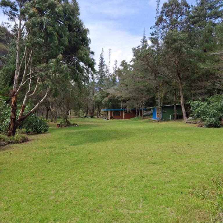 The Lookout Hideaway Cabin - Four-Bedroom Vacation Home - 3