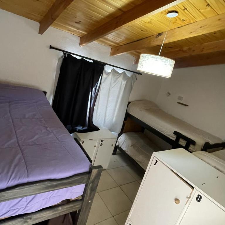 Hostel Otto Tipp - Bed in 6-Bed Mixed Dormitory Room - 4