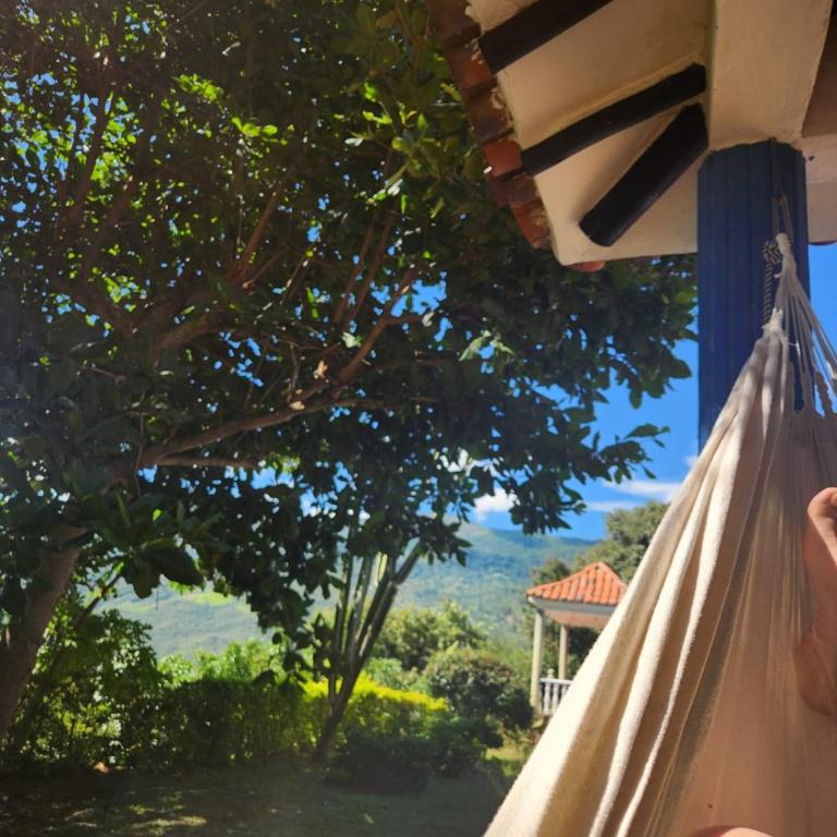 Finca Diamante Azul - Villa - 10