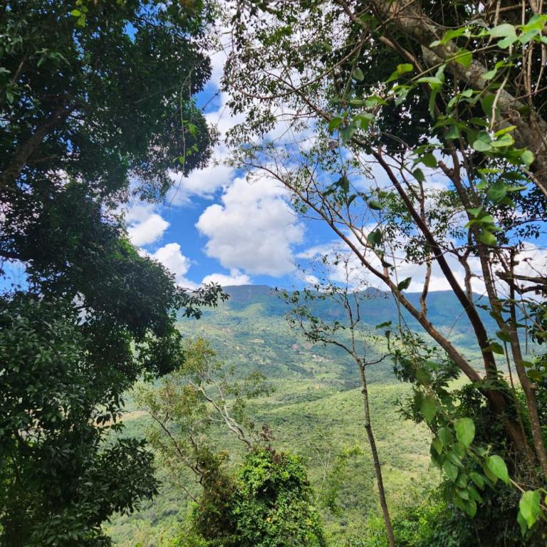 Finca Diamante Azul - Villa - 29