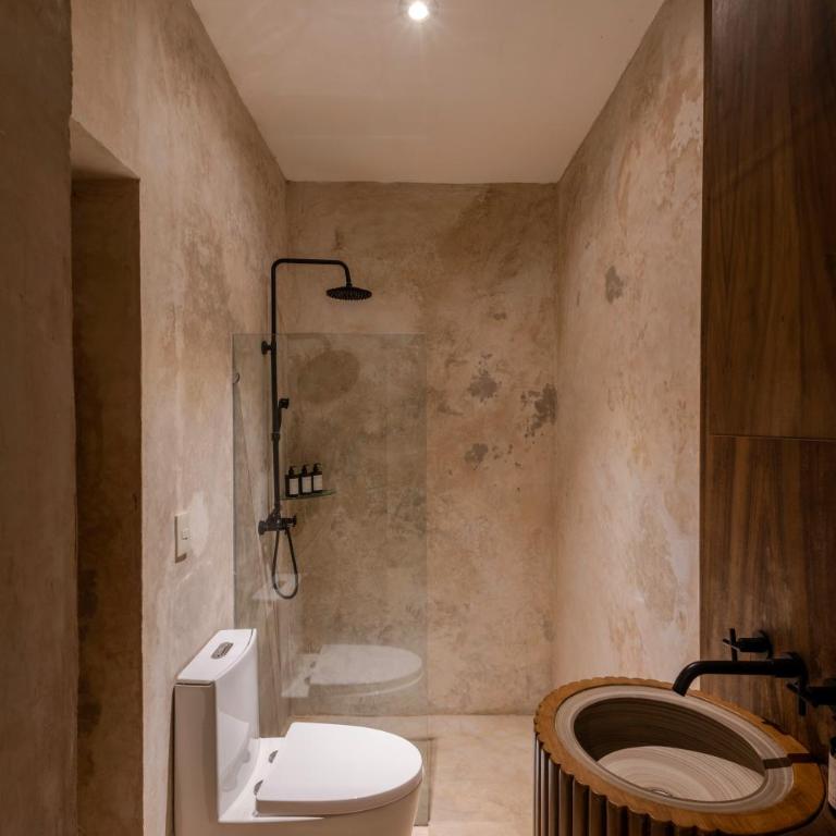 Casa María Alberca privada en el Centro Histórico - Three-Bedroom House - 62