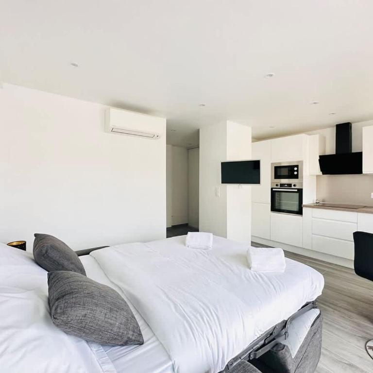 Le Royal Carnot - Studio - Cannes Centre Terrasse - Appartement 1 Chambre - 2