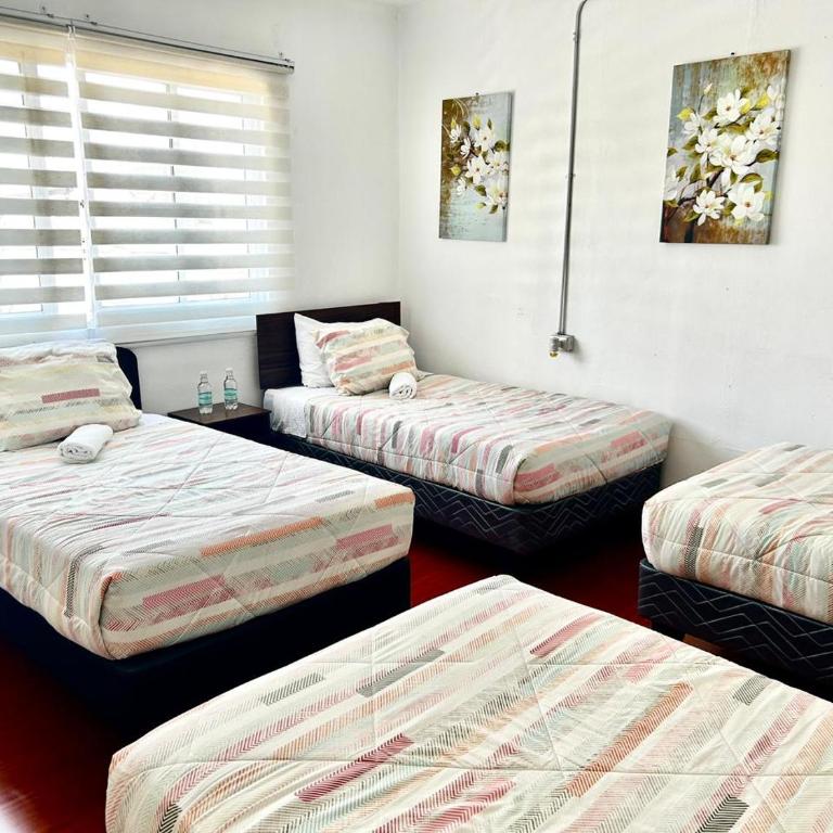 Hospedaje Nuevo Amanecer - Single Bed in 4-Bed Dormitory Room - 1