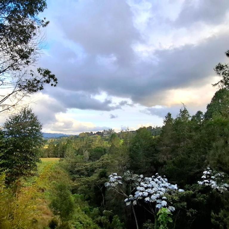 Cabaña en el Lago Cerca MetroCable ARVI - Apartamento de 1 dormitorio - 55