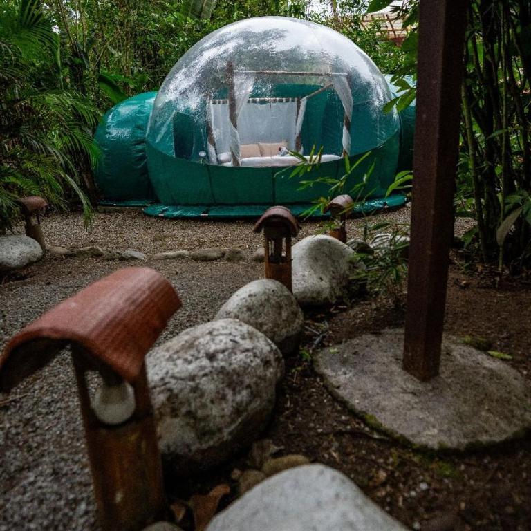 Mindo GlamBird Glamping & Lodge - Tent - 1