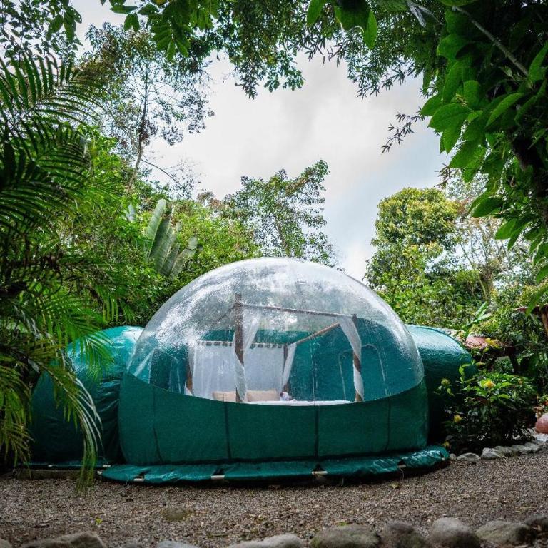Mindo GlamBird Glamping & Lodge - Tent - 2