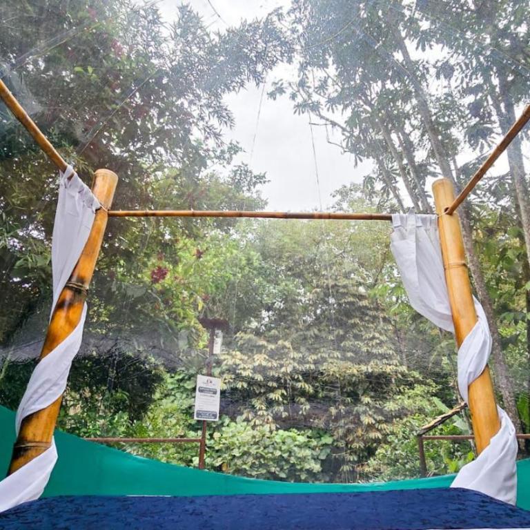 Mindo GlamBird Glamping & Lodge - Tent - 3