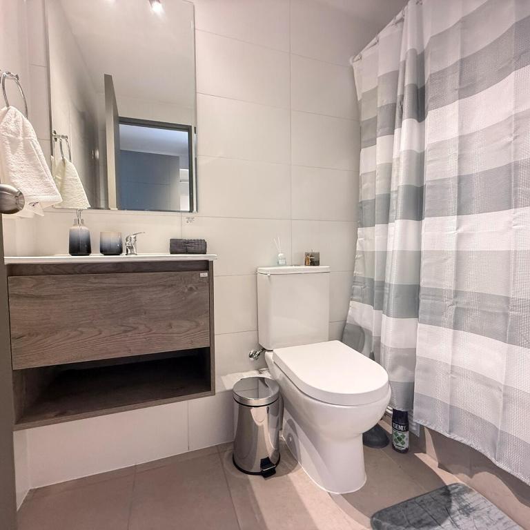Departamento cercano Clínica Davila y Mall Plaza Vespucio - One-Bedroom Apartment - 16