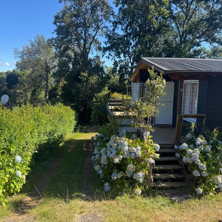 Cabaña en Licanray a orillas del Lago Calafquen - Three-Bedroom House - 2