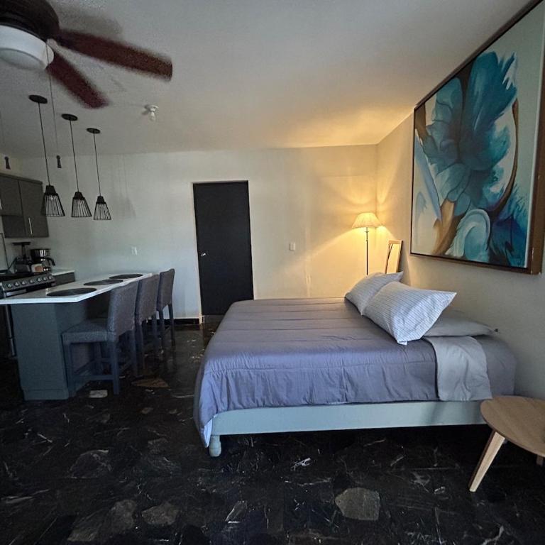 New studio 10 min BBVA Stadium Wifi & Coffee - One-Bedroom Apartment - 12