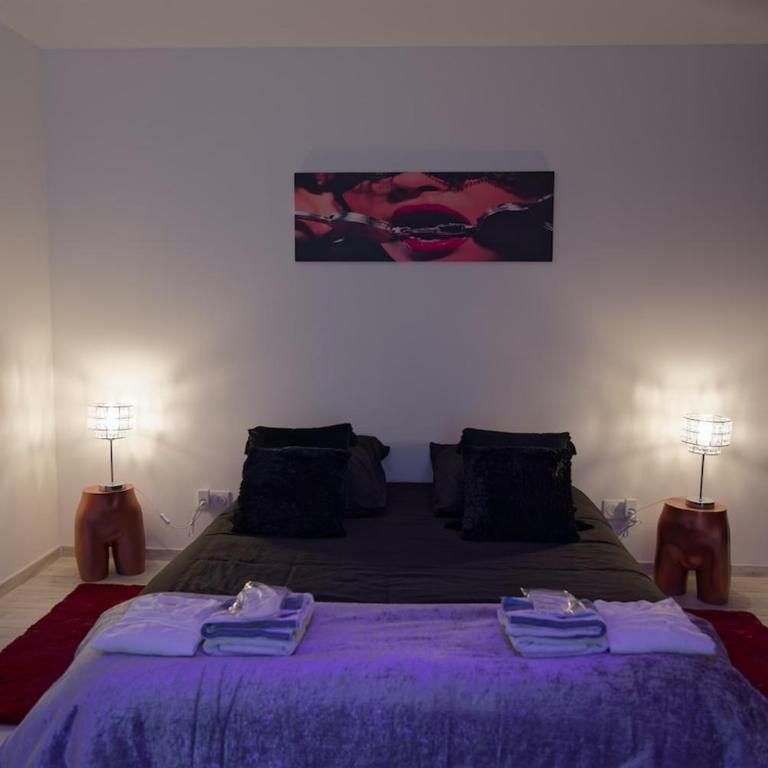 LoveRoom Le Loft & Garden Spa - Apartment mit 1 Schlafzimmer - 13