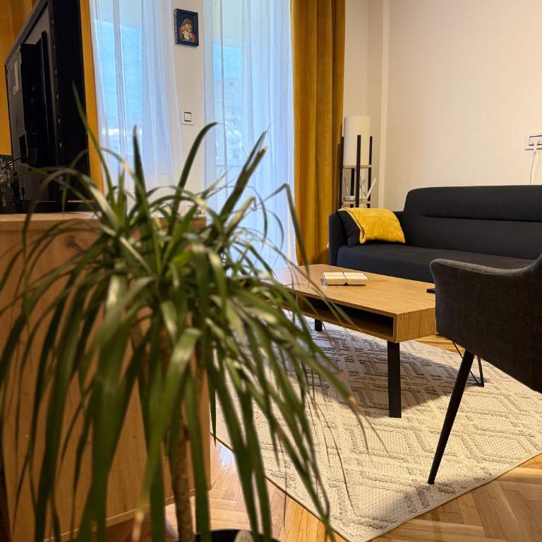 Kralj Petar I - Apartman sa 1 Spavaćom Sobom - 6