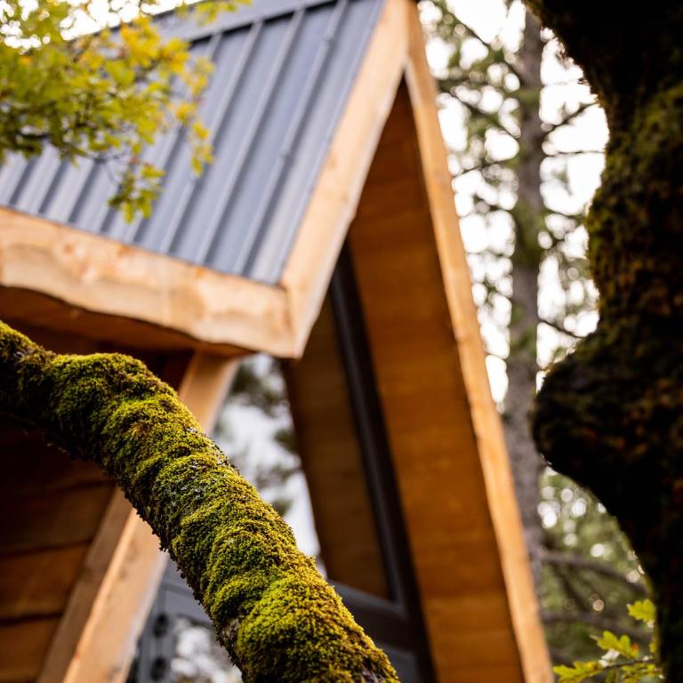 Alpinest - Chalet - 8