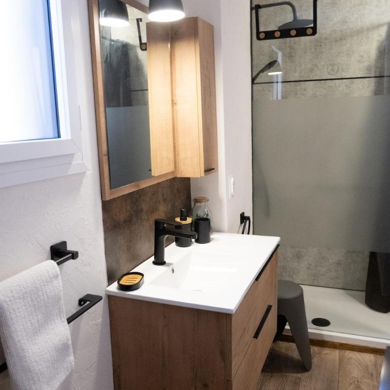 Altitude 1677 - T3 avec balcon, esprit Montagne - Appartement - 71