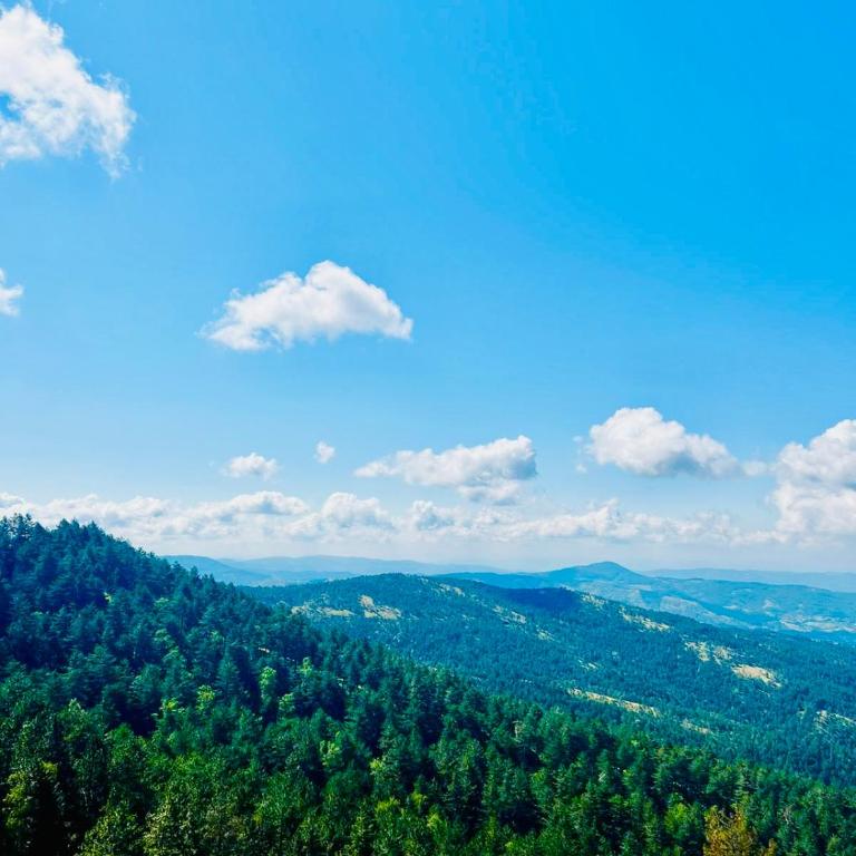 The View Divcibare - Apartman sa 1 Spavaćom Sobom - 25