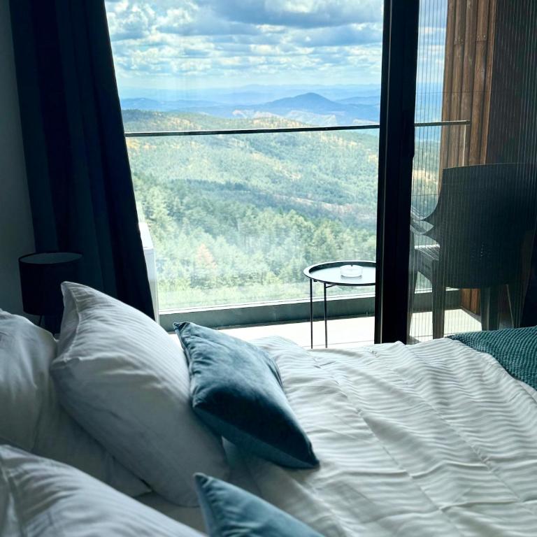 The View Divcibare - Apartman sa 1 Spavaćom Sobom - 34