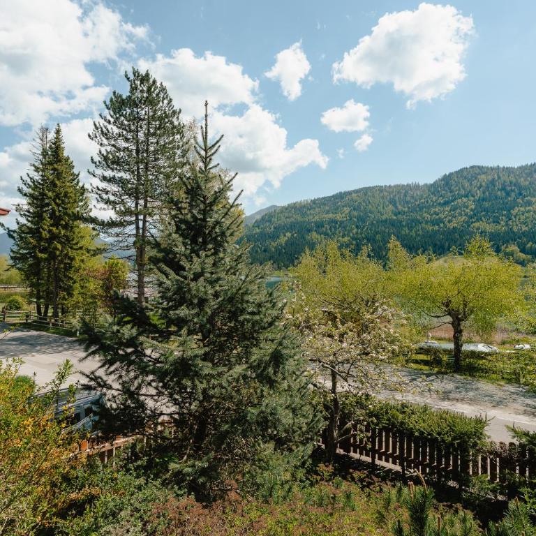 Ferienhof Obergasser und Bergblick - Apartment mit 1 Schlafzimmer - 2