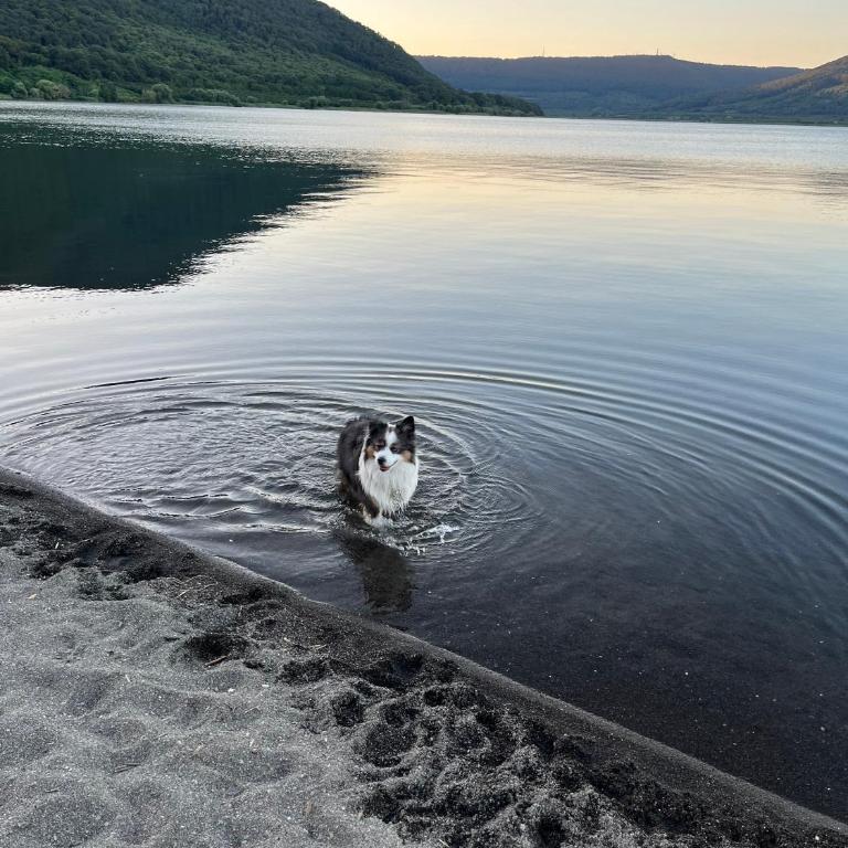 Palazzo Dasso - Appartamento Familiare con 2 Camere da Letto - 10
