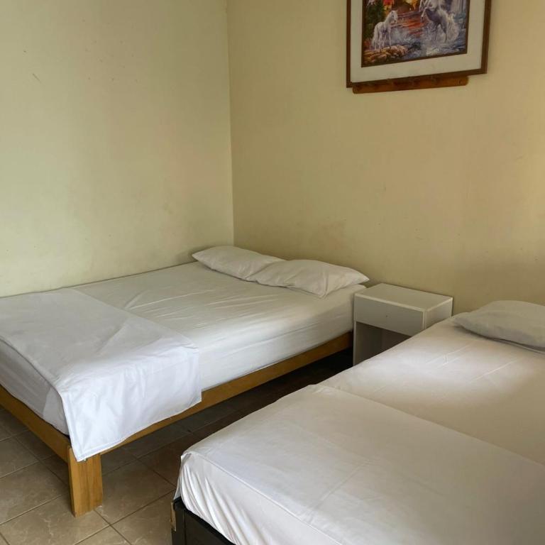 HOSPEDAJE VISTA Del SOL PARACAS - Twin Room - 3