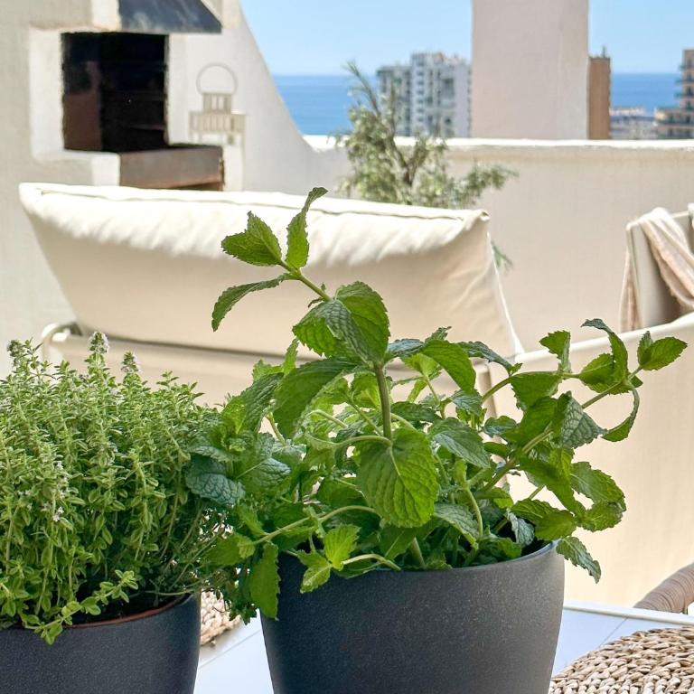Elegant 2-bedroom apartment with beautiful views - Apartamento de 2 dormitorios - 70