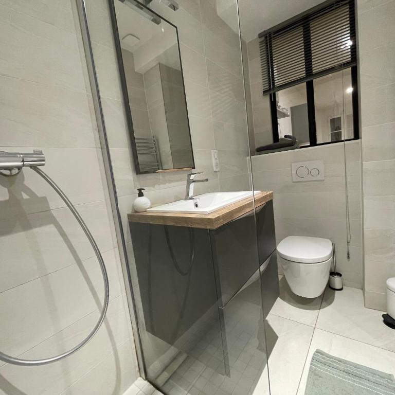Lyon Standing Historic City Apartment - Appartement - 6