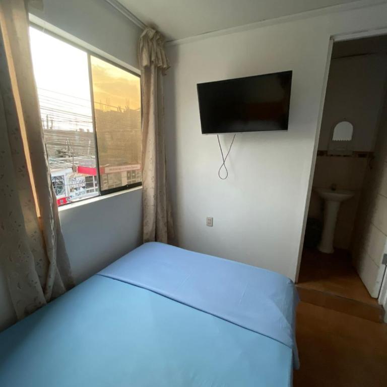 HOSPEDAJE VISTA Del SOL PARACAS - Double Room with Private Bathroom - 9