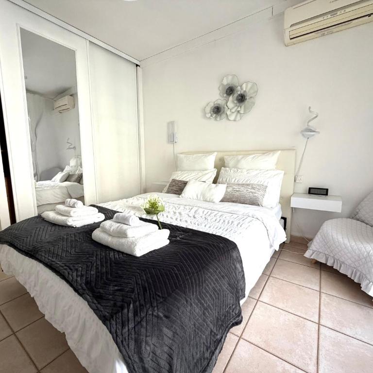 Le Miami - Nice - Appartement 1 Chambre - 24