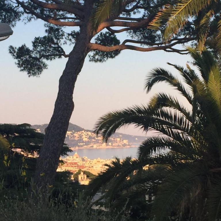 Le Miami - Nice - Appartement 1 Chambre - 46