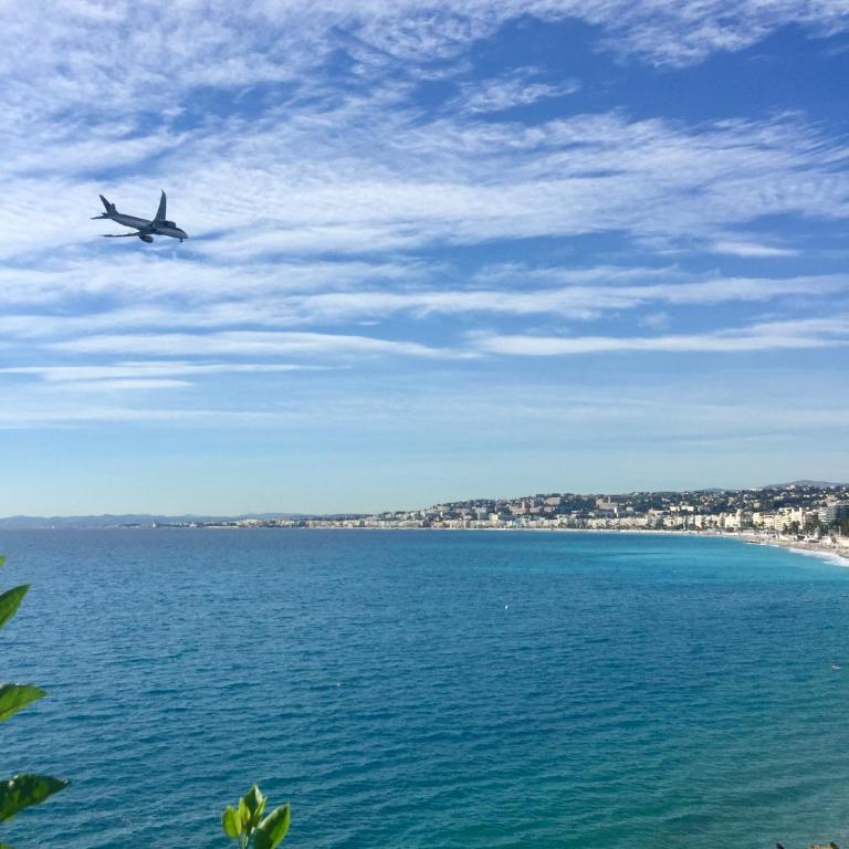 Le Miami - Nice - Appartement 1 Chambre - 40