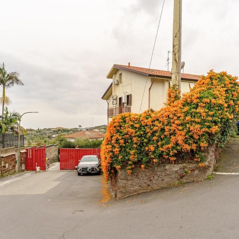 La casetta succulenta - Appartement 1 Chambre - 39