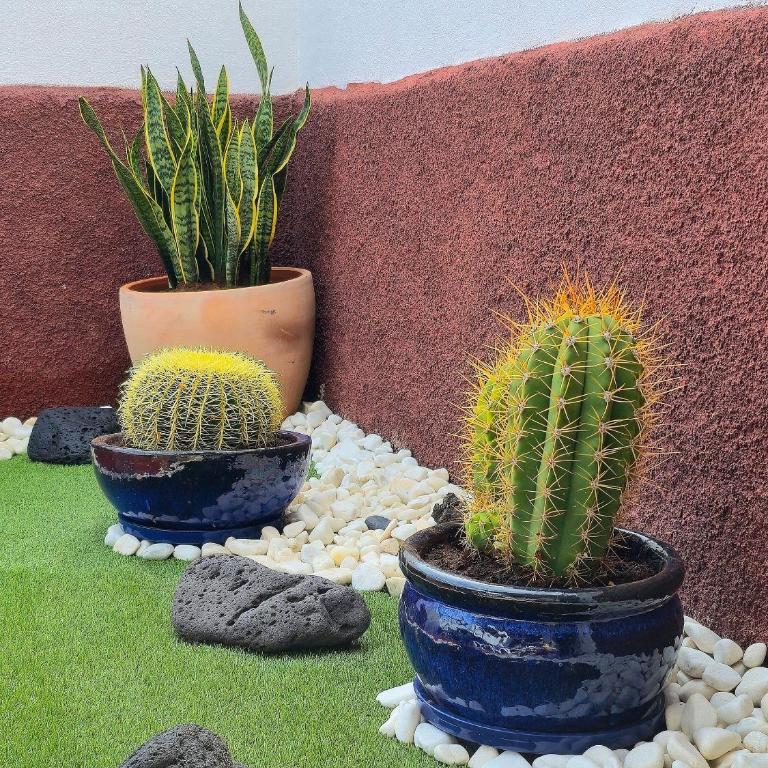 Casa Paca - Your Private Oasis in Lanzarote - Paradise by the Sea - Vacation Home - 7