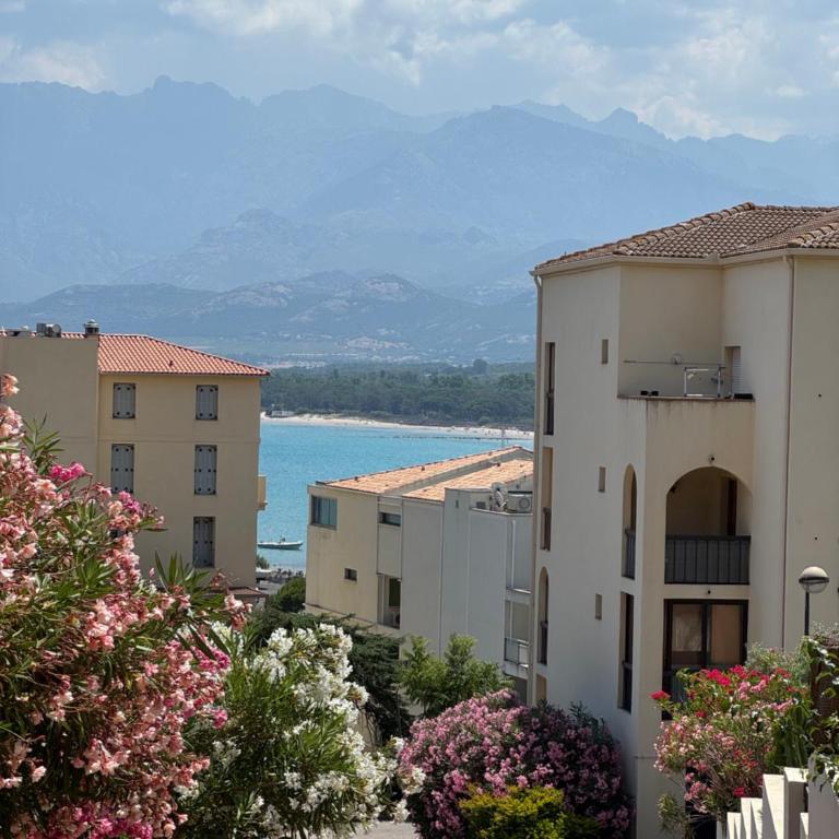 Studio Régina - Plage & port de Calvi à pied - One-Bedroom Apartment - 23
