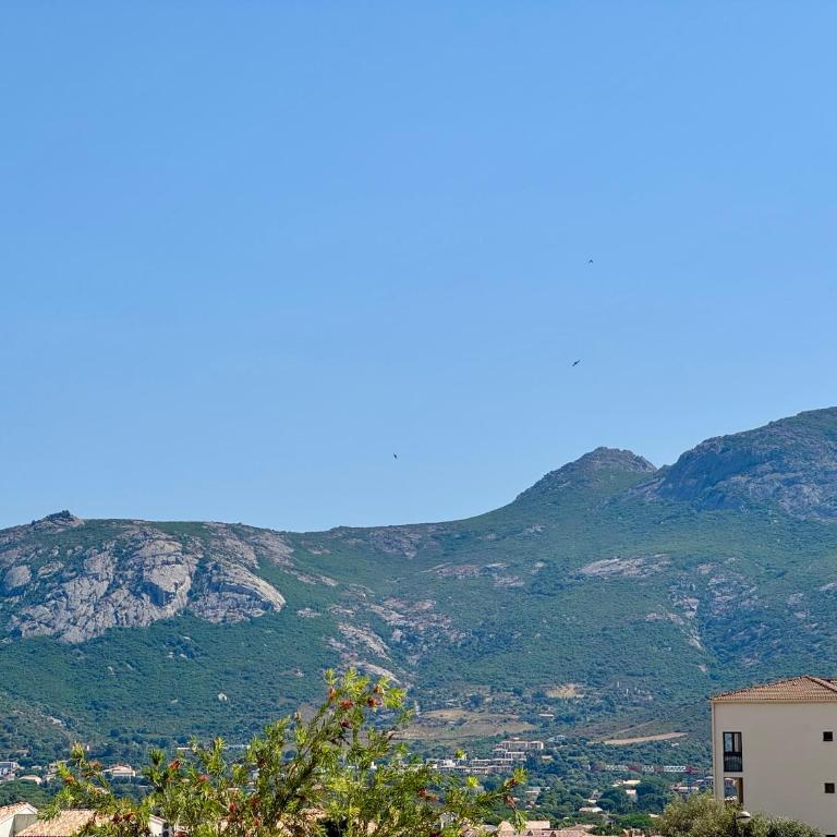Studio Régina - Plage & port de Calvi à pied - One-Bedroom Apartment - 11