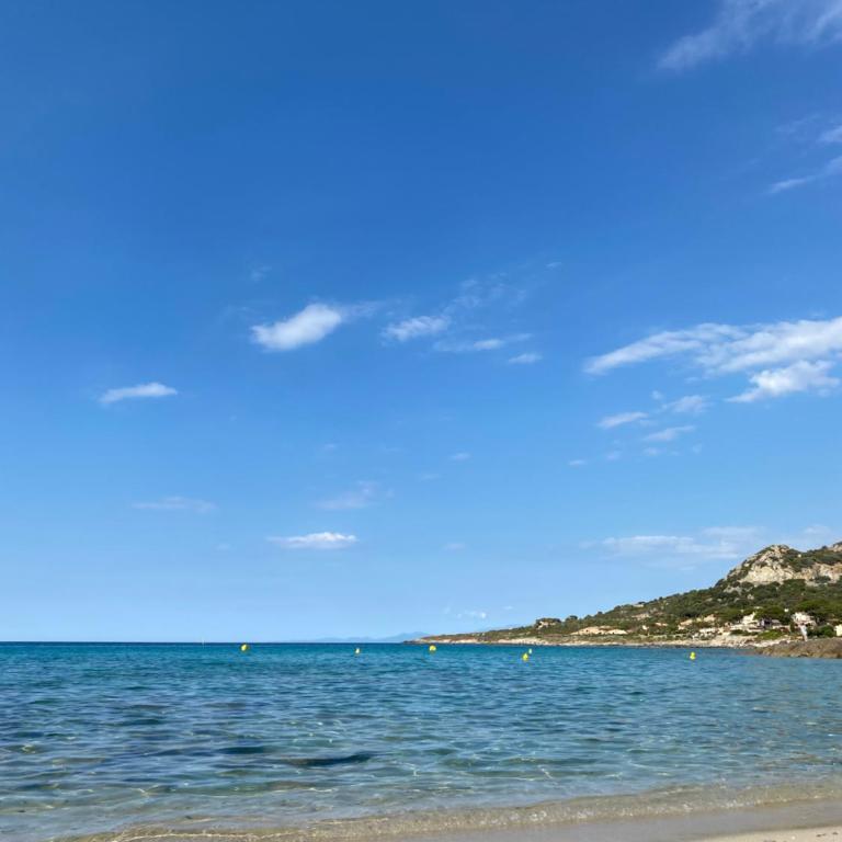 Studio Régina - Plage & port de Calvi à pied - One-Bedroom Apartment - 24
