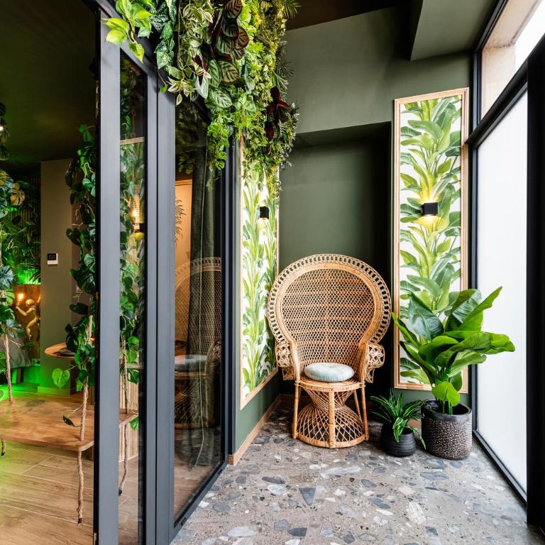 Suite Jungle - Love room spa, sauna & cinéma privé - Appartement 1 Chambre - 9