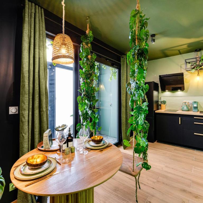 Suite Jungle - Love room spa, sauna & cinéma privé - Appartement 1 Chambre - 17