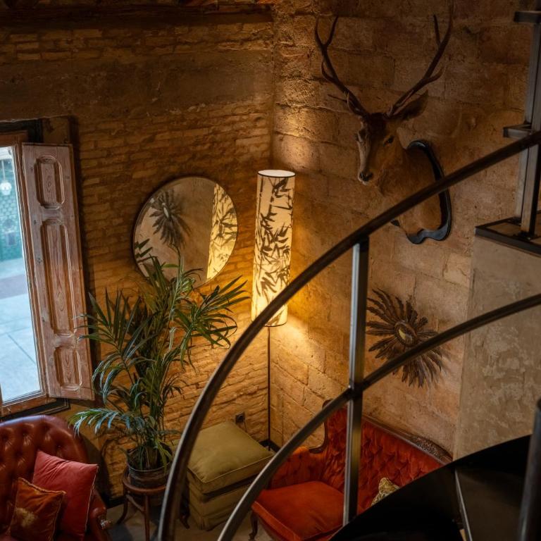 Apartamentos Basilicus - Loft - 56