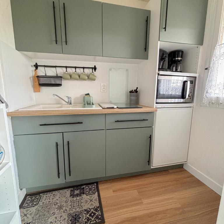 Cabourg bel appartement proche de la plage - Apartamento de 1 dormitorio con balcón - 3
